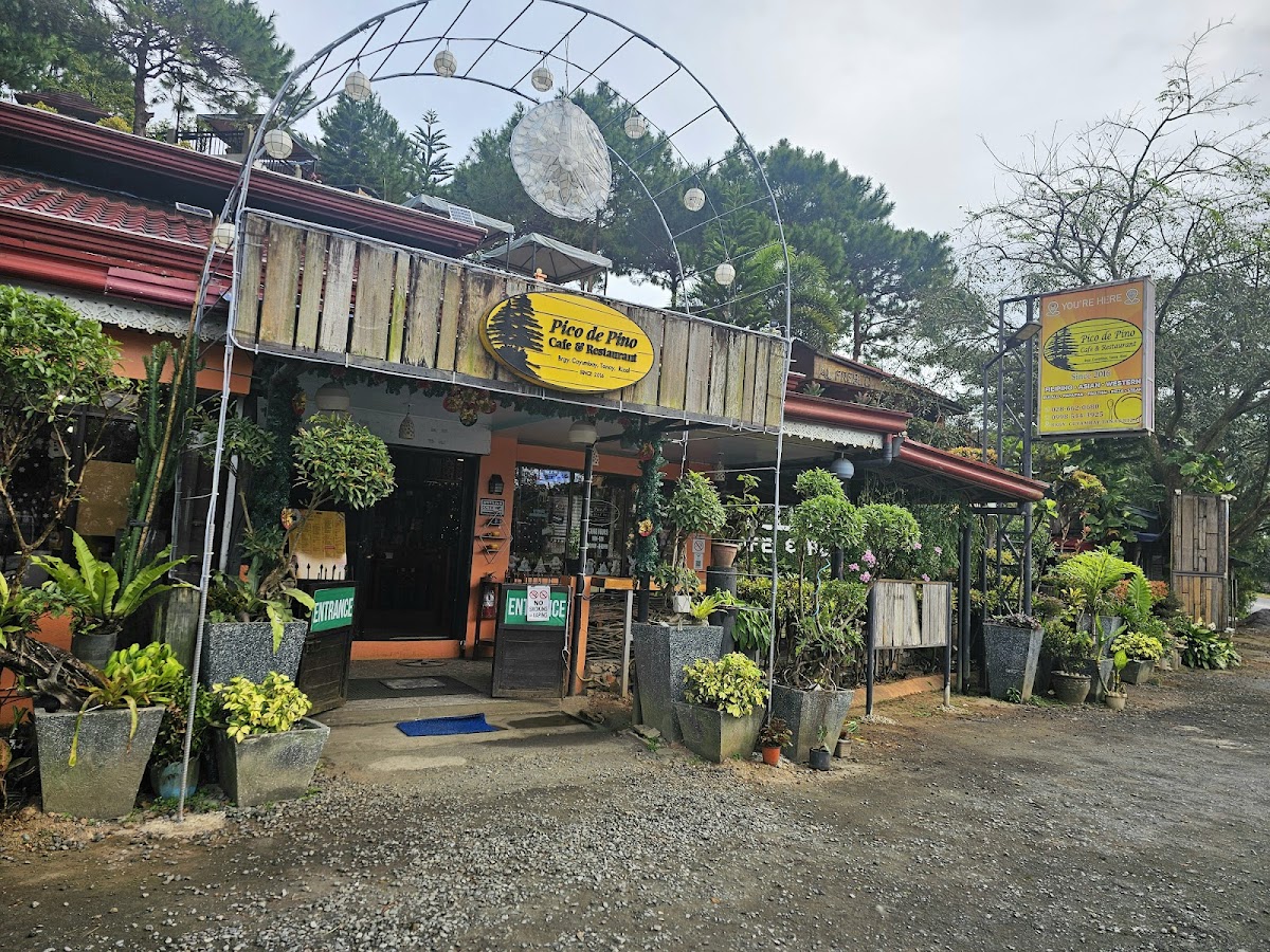 Pico De Pino Cafe And Restaurant